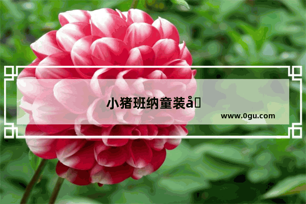小猪班纳童装加盟费