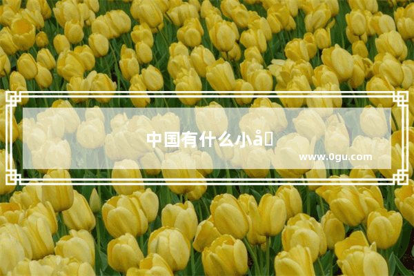 中国有什么小吃的加盟店吗