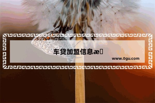 车贷加盟信息怎么填写才正确