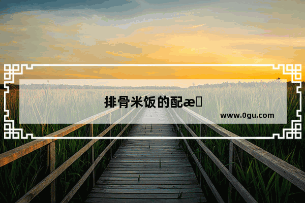 排骨米饭的配方是什么啊 开店利润怎么样啊