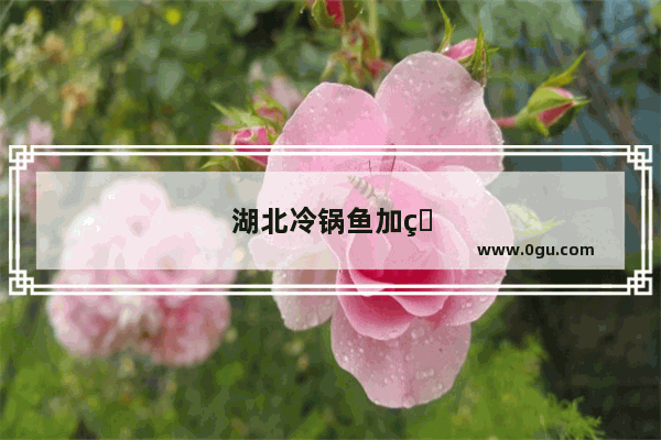 湖北冷锅鱼加盟店排行榜前十名