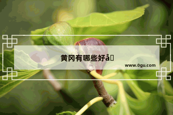 黄冈有哪些好吃的特色