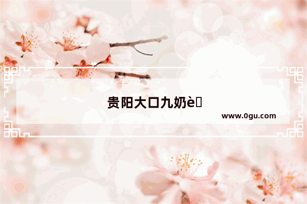 贵阳大口九奶茶店加盟电话