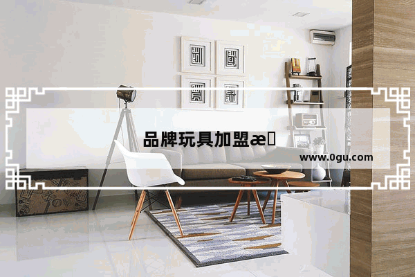 品牌玩具加盟排行榜前十名