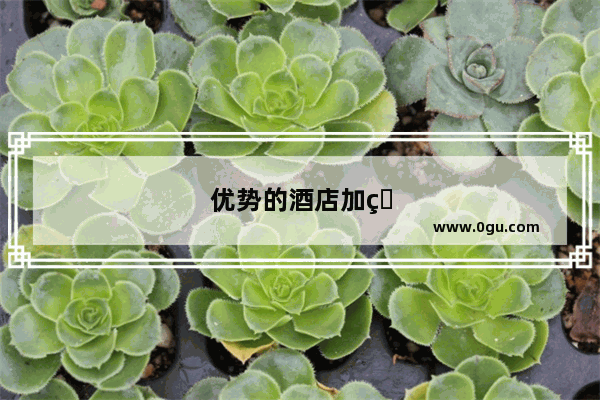 优势的酒店加盟商有哪些