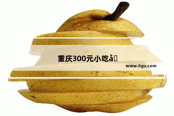 重庆300元小吃加盟店有哪些