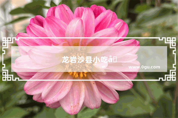 龙岩沙县小吃加盟店