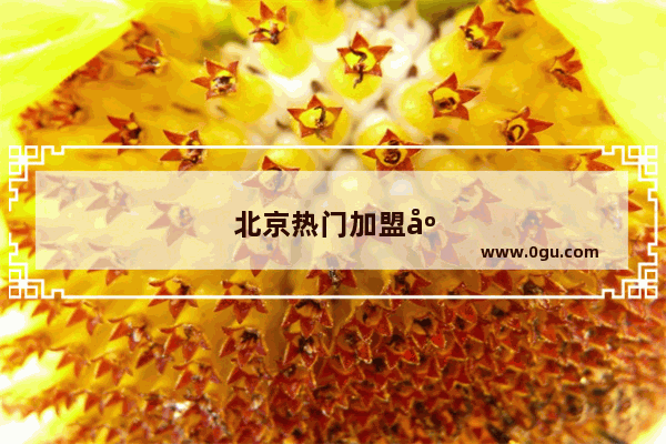 北京热门加盟店排行榜