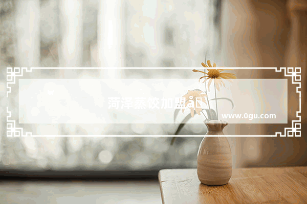 菏泽蒸饺加盟品牌排行