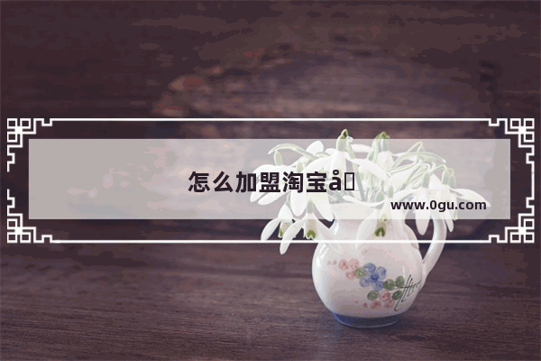 怎么加盟淘宝公司店铺