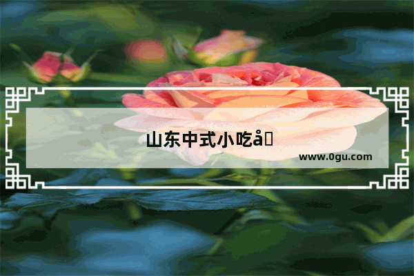 山东中式小吃加盟方法大全视频