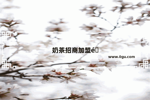 奶茶招商加盟销售方案