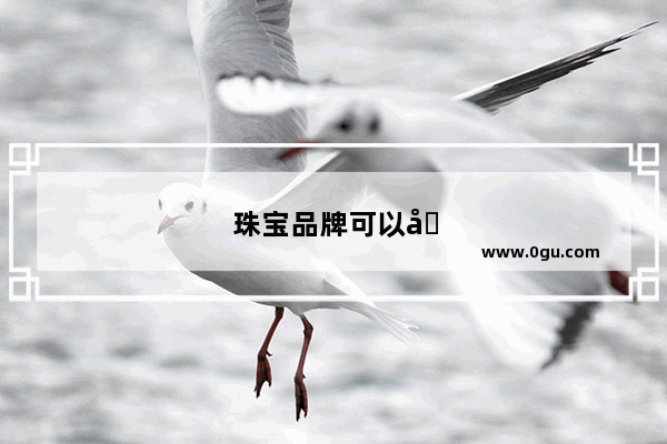 珠宝品牌可以加盟吗