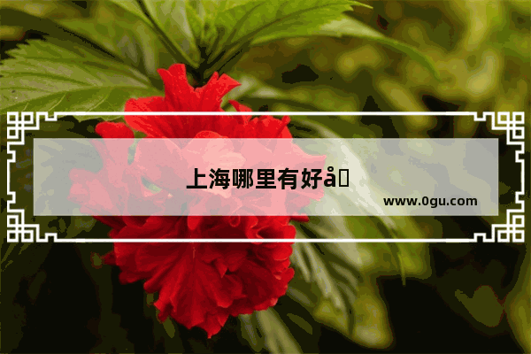 上海哪里有好吃好喝好玩的地方