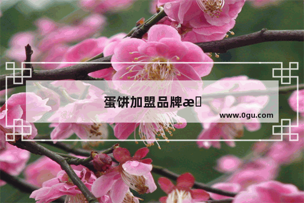 蛋饼加盟品牌排行榜