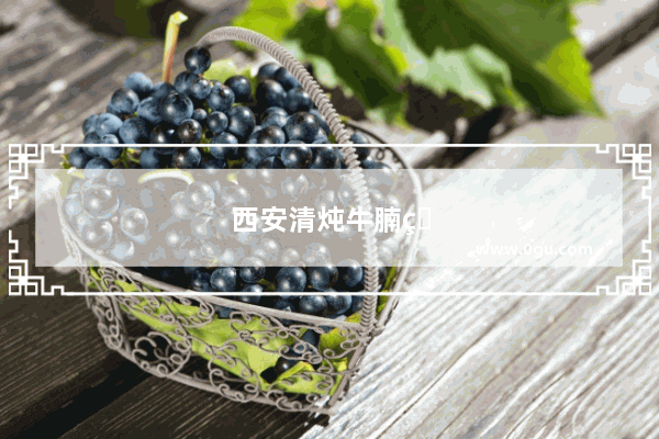 西安清炖牛腩的做法