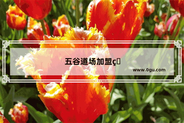 五谷道场加盟电话