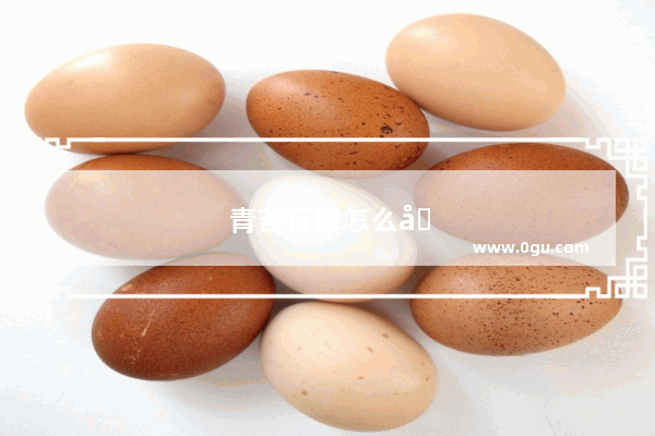 青苔行星怎么加盟
