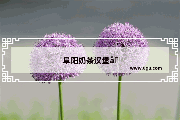 阜阳奶茶汉堡加盟店有哪些