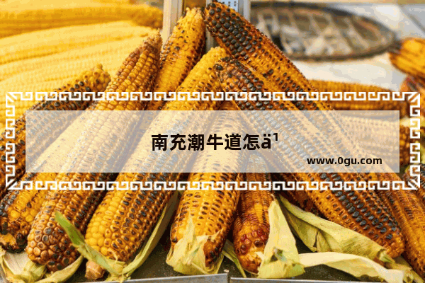 南充潮牛道怎么样
