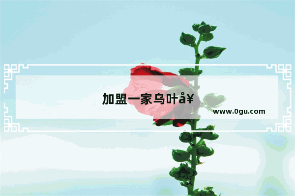 加盟一家乌叶奶茶多少钱