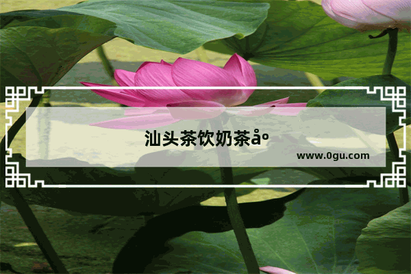 汕头茶饮奶茶店加盟费用多少