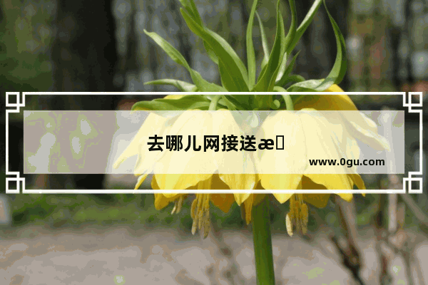 去哪儿网接送机怎么加入
