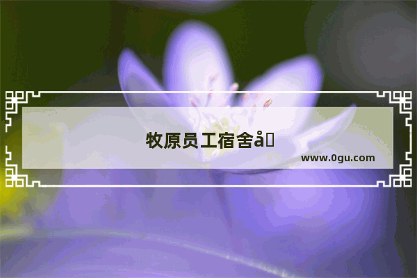 牧原员工宿舍几人一间