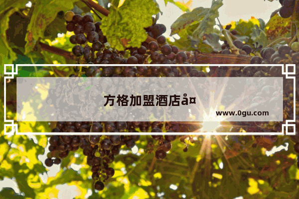 方格加盟酒店多少钱一间