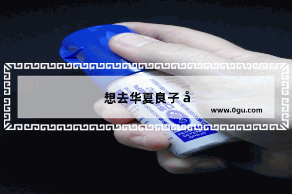 想去华夏良子 大家给推荐一个认为最具性价比的项目吧