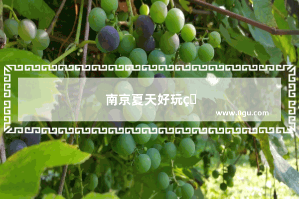 南京夏天好玩的地方推荐