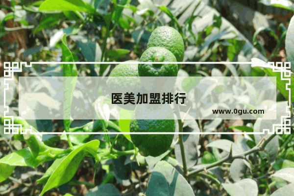 医美加盟排行