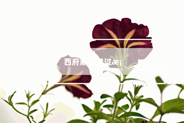 西府顺水牌过桥米线酱料怎么样