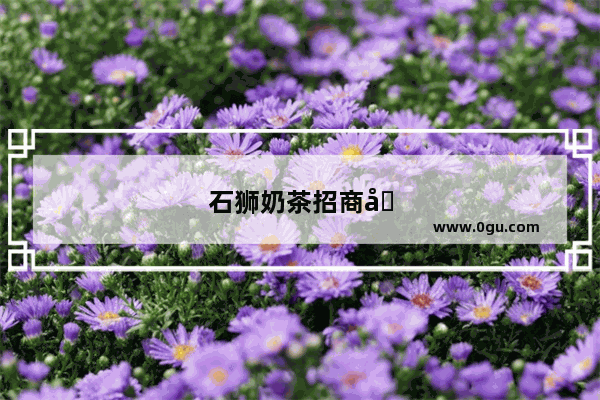石狮奶茶招商加盟电话