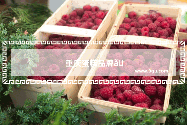 重庆蛋糕品牌加盟好不好