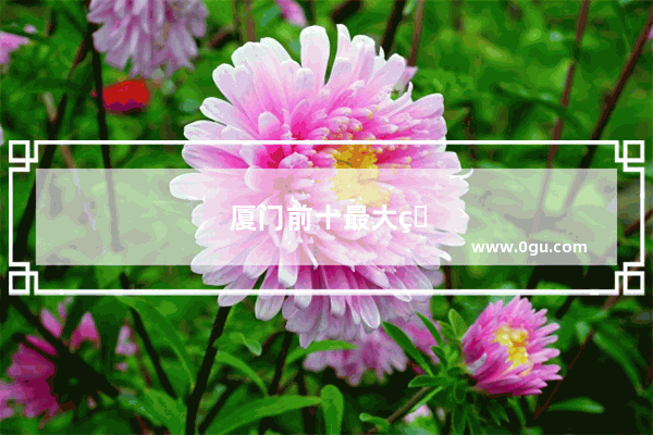 厦门前十最大的夜市
