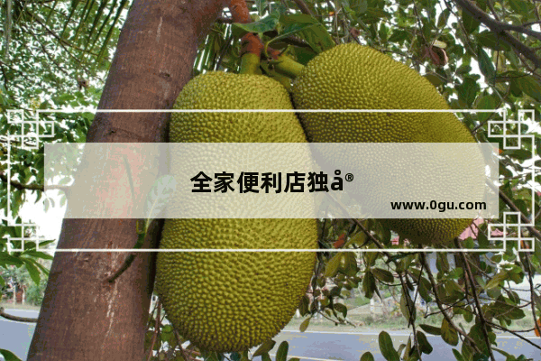 全家便利店独家美食店加盟费多少