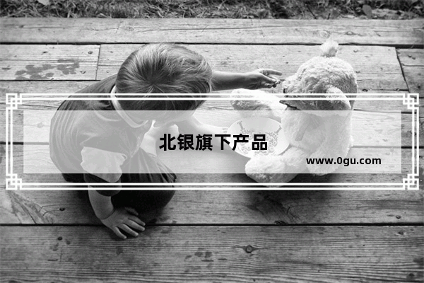 北银旗下产品
