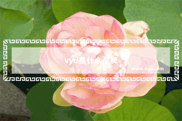 vyd是什么品牌