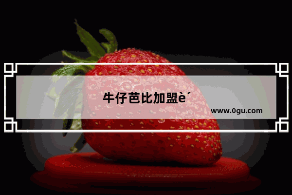 牛仔芭比加盟费多少钱