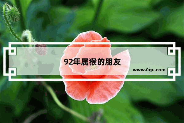 92年属猴的朋友你们这几年过得还好吗