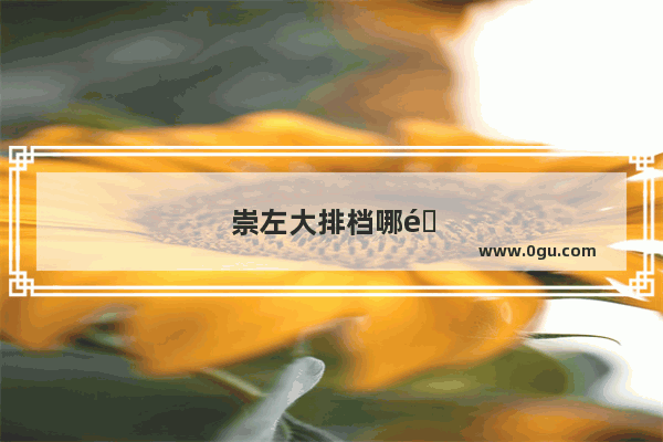 崇左大排档哪里好吃