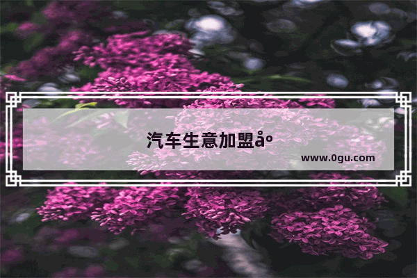 汽车生意加盟店排行榜前十名