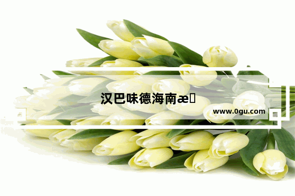 汉巴味德海南有吗