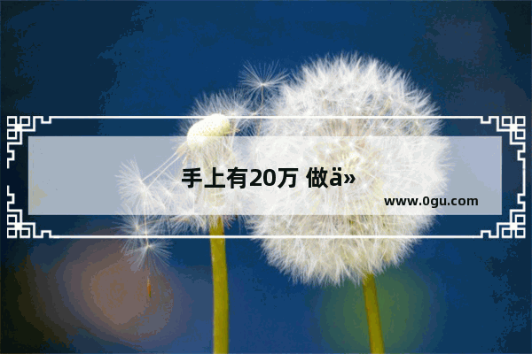 手上有20万 做什么项目比较稳定