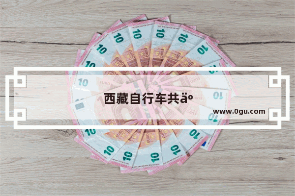 西藏自行车共享加盟店排行榜