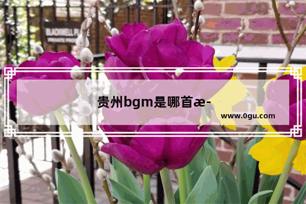 贵州bgm是哪首歌