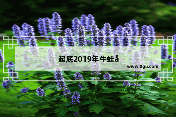 起底2019年牛蛙单品是否会持续走红