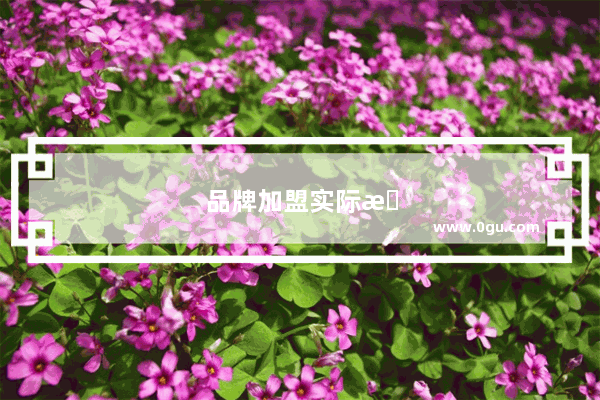 品牌加盟实际数据怎么看