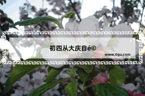 初四从大庆自驾去三亚 能介绍一些合适的路线吗